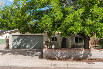 1132 LANDMAN Drive NE, Albuquerque