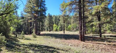 Tbd Sawmill Canyon Road, Ramah 