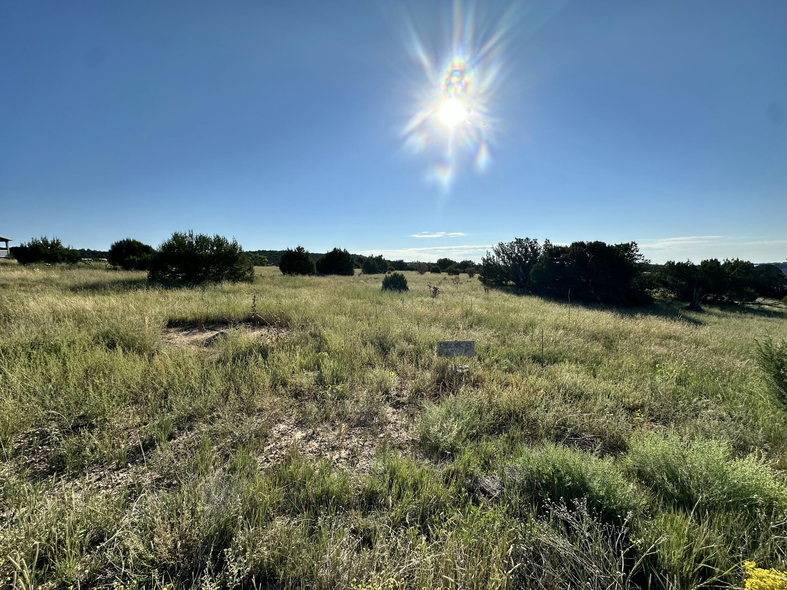 LOT 29 BLOCK 3 - Main Image