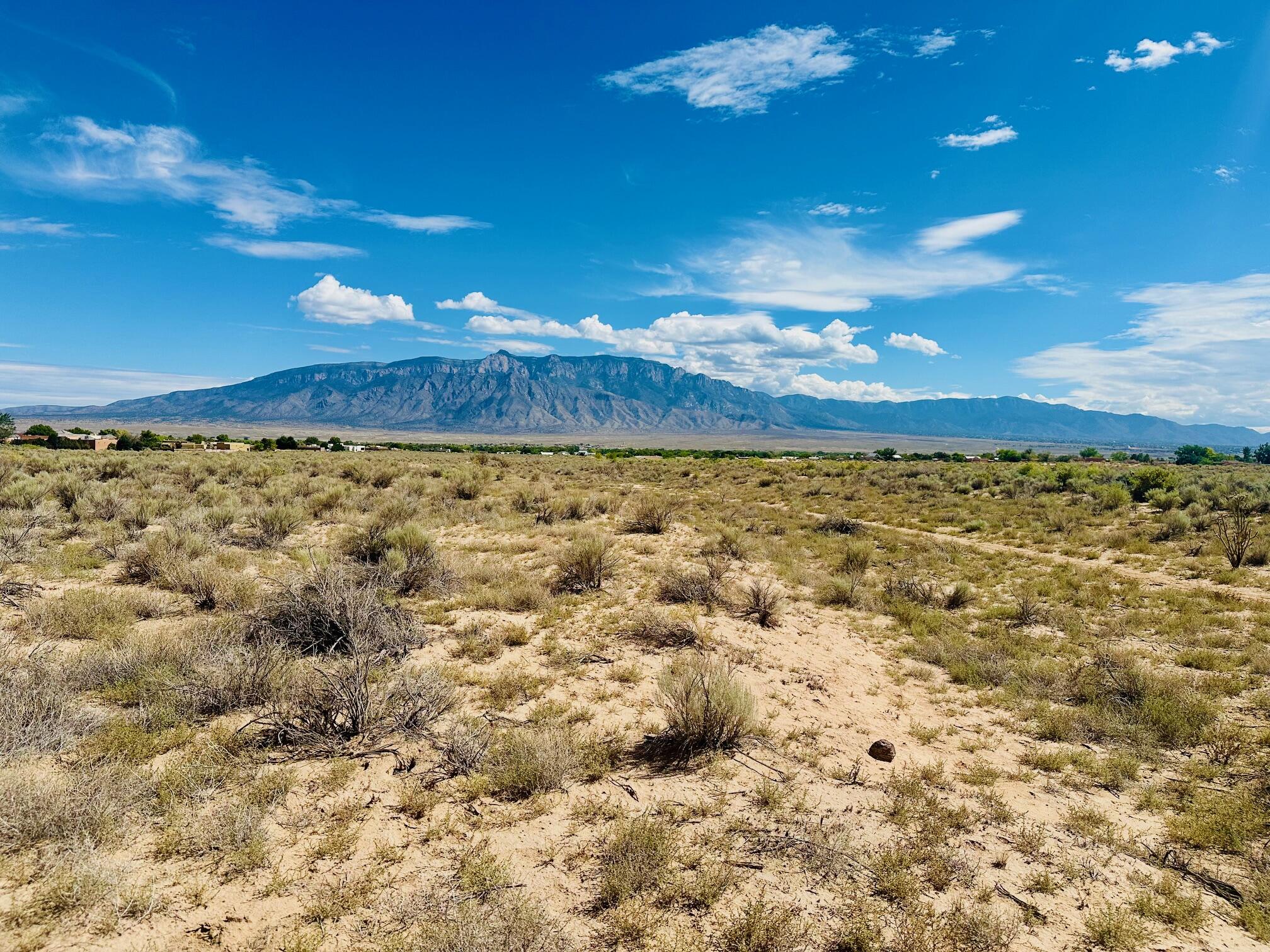 Desert Luna Road - Main Image