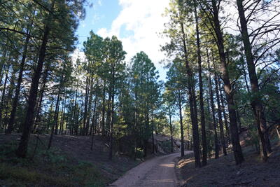 County Road B-52, Pecos 