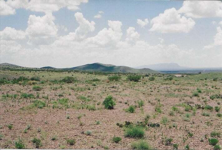 WILLOW SPRINGS RANCH Lot: 35 - Main Image