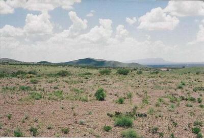 WILLOW SPRINGS RANCH Lot: 35, San Antonio
