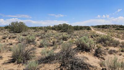 Offenbach 2 lots together Road NE, Rio Rancho 