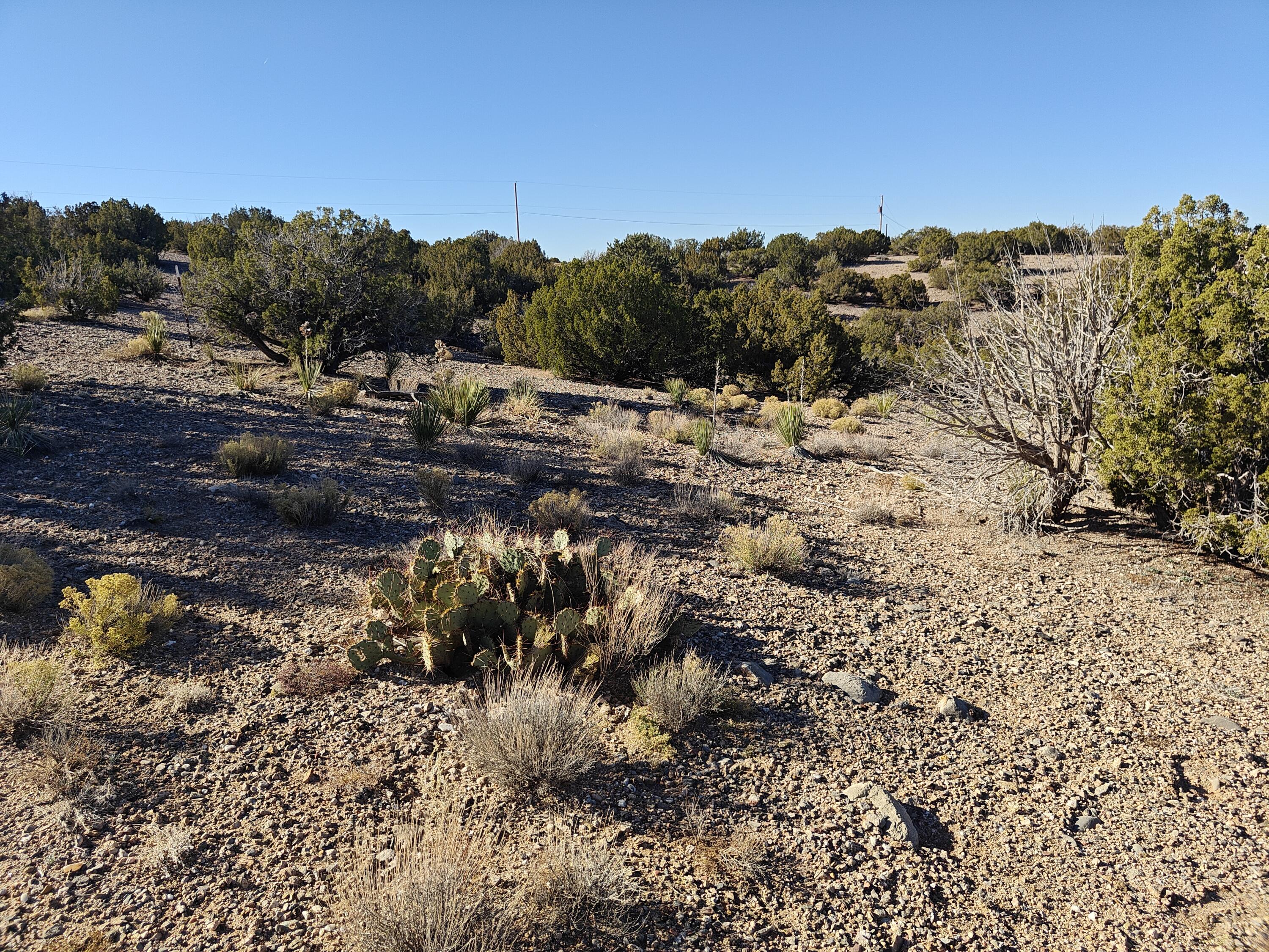 74 DESERT MOUNTAIN Road - Main Image