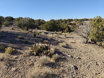 74 DESERT MOUNTAIN Road, Placitas 