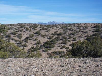 CAMINO HALCON, Placitas 