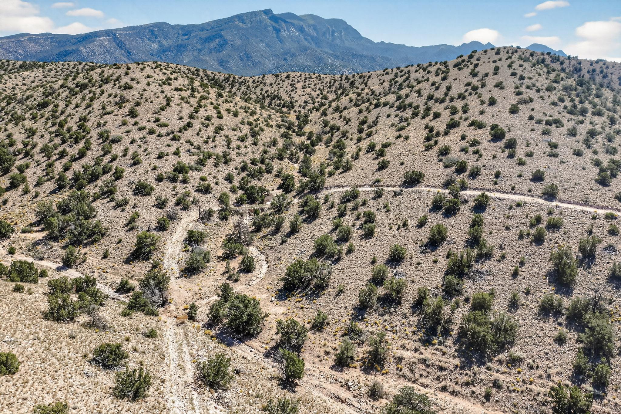 203 OVERLOOK Drive - Main Image