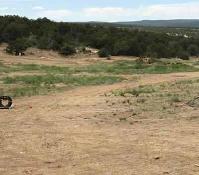 Lot 17 Wrye Rancho, Villanueva 