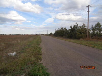 0 willow lake Road, McIntosh 