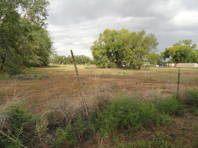 Burge Drive, Peralta 