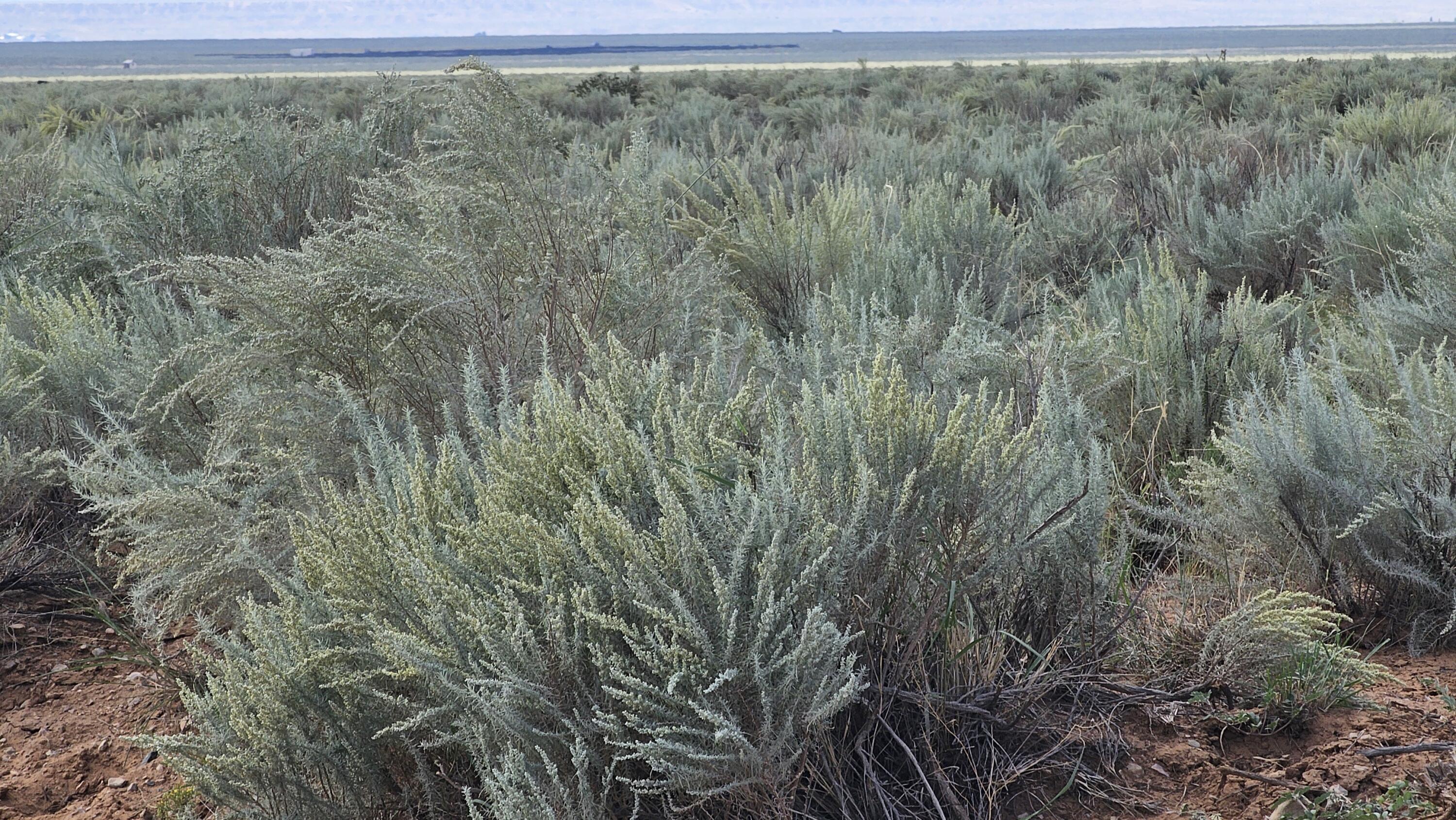 RGE Lot 17 Block 377 17 - Main Image