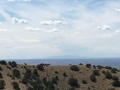 Unit 3 Camino Halcon, Placitas 