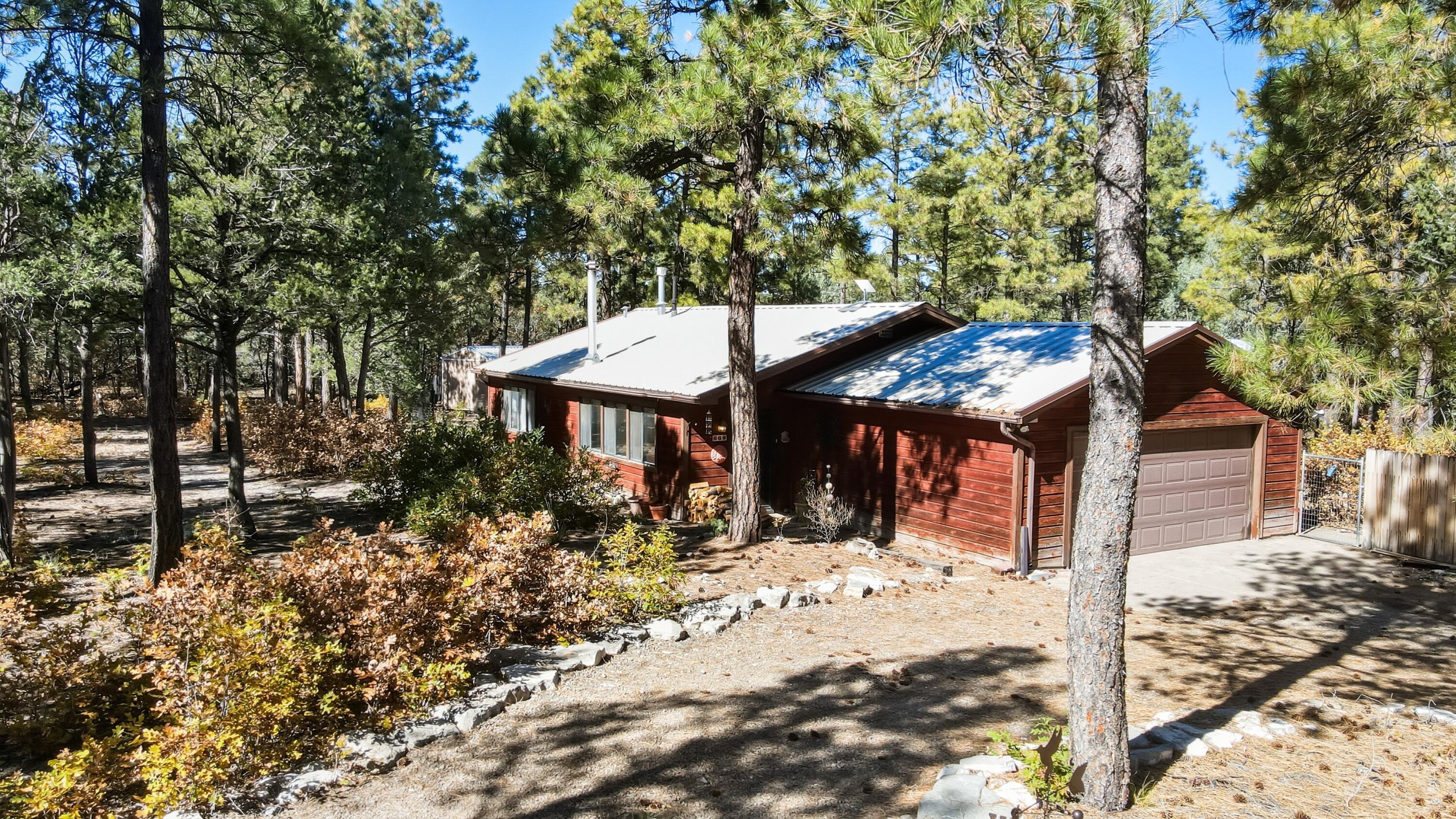 6 Saco Paco - Main Image