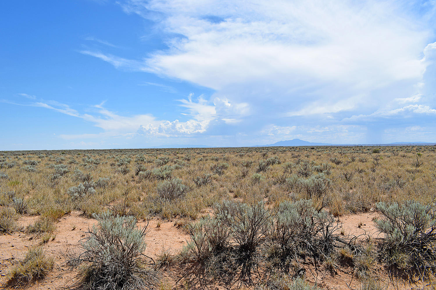 Lot 8 Rio Del Oro 9 - Main Image