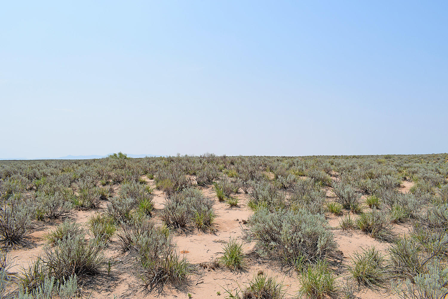 Lot 17 Rio Del Oro 14 - Main Image