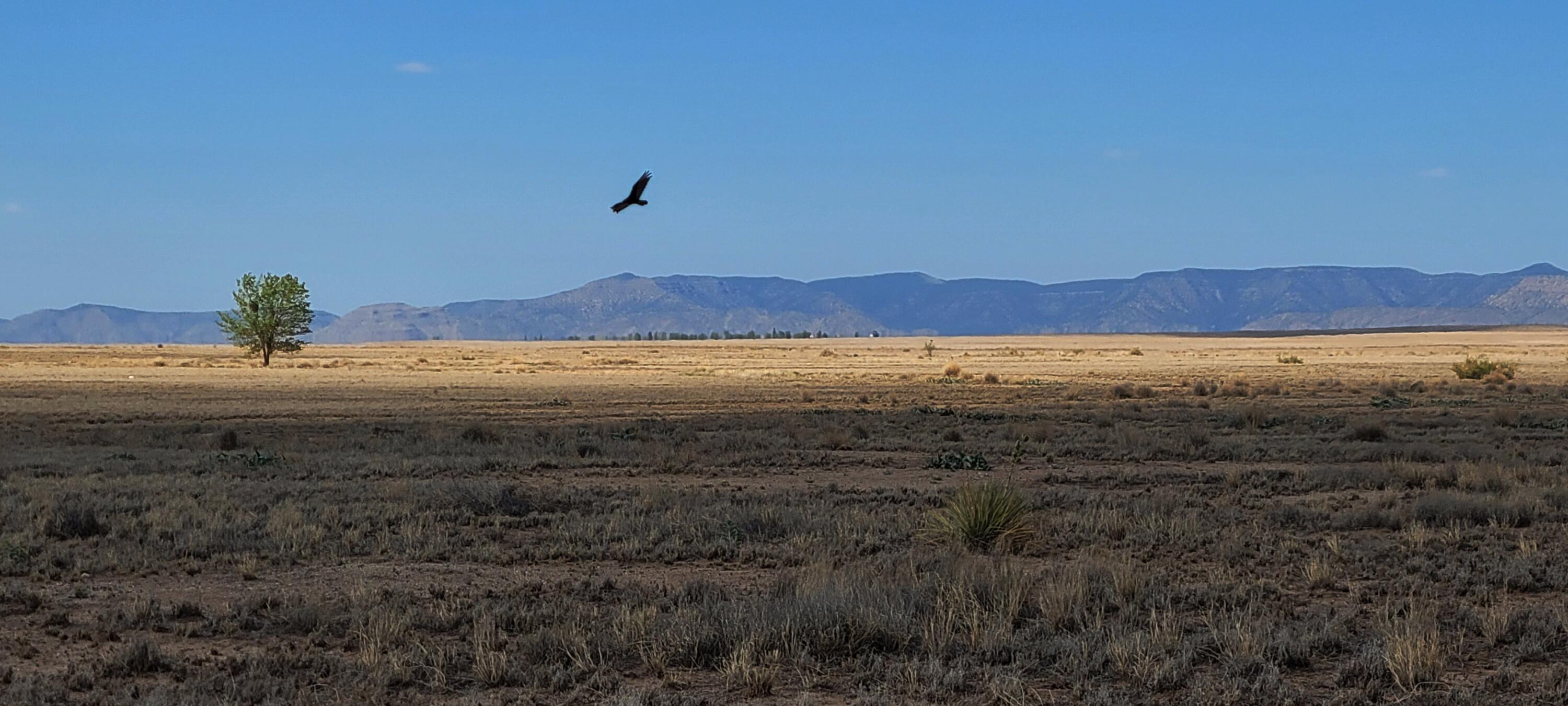 Rio Del Oro Loop N - Main Image