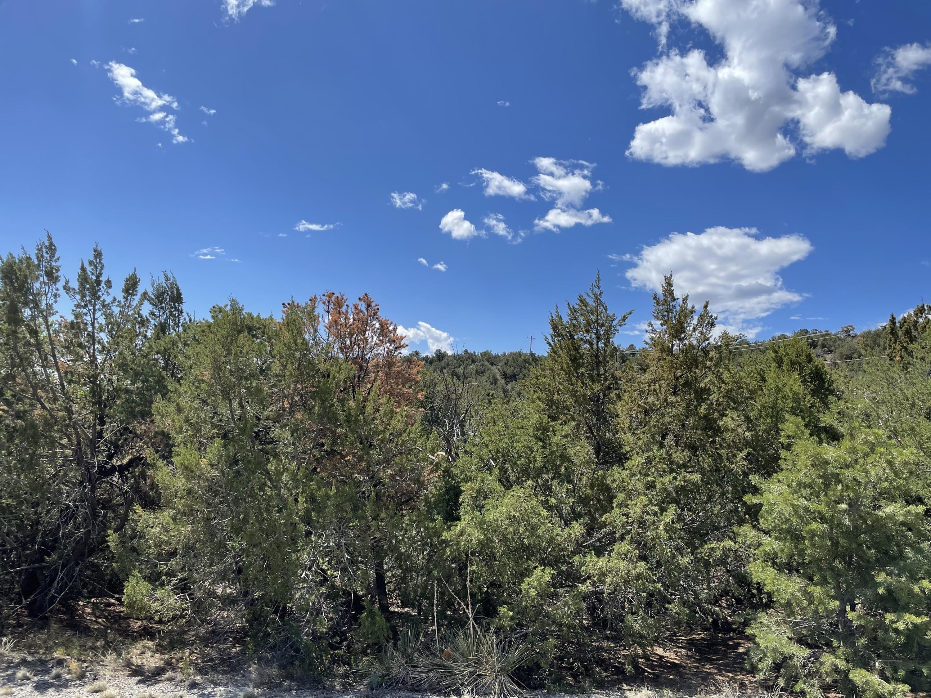 51 Canyon Ridge Drive - Main Image