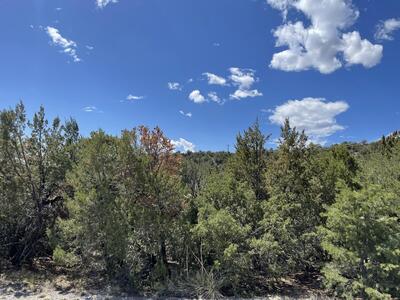 51 Canyon Ridge Drive, Sandia Park 