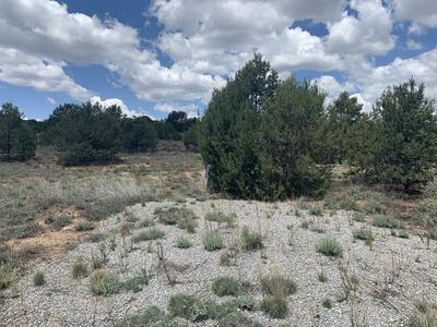 7 Nature Pointe, Tijeras 